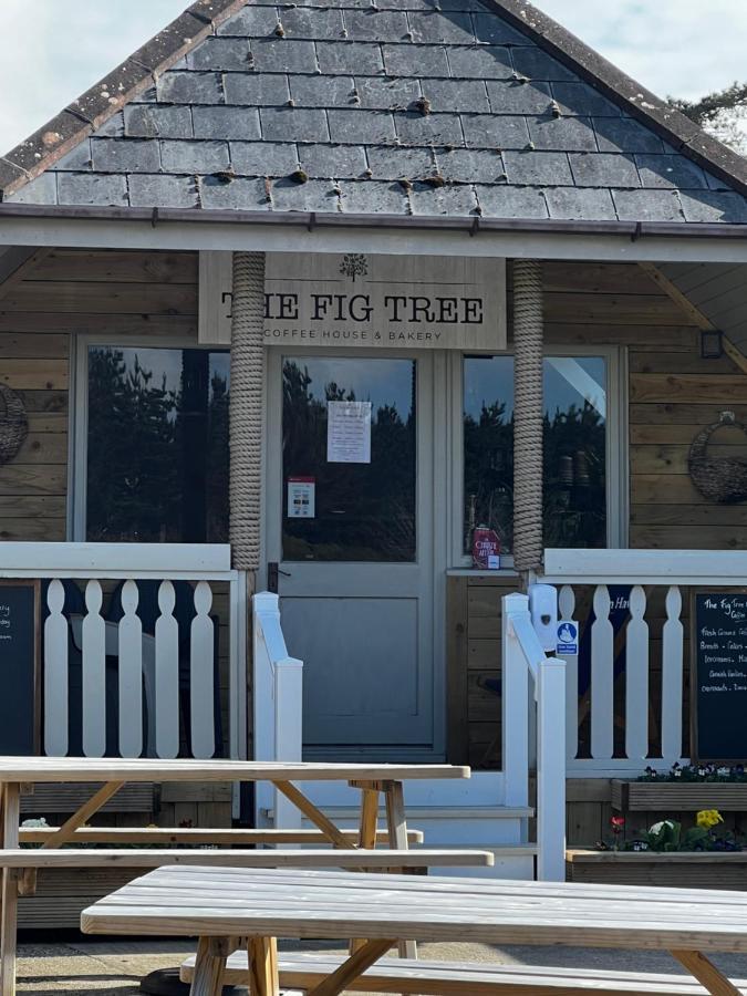 Mawgan Stays Mawgan Porth New Quay Exterior foto